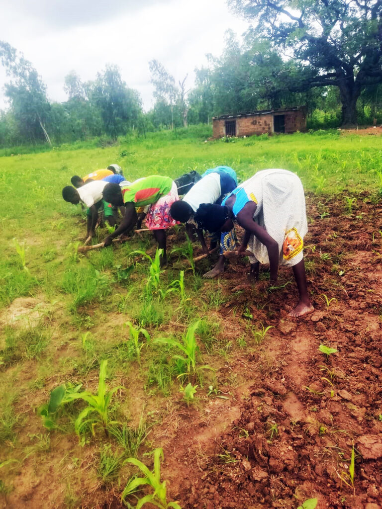 Realizzazione Cooperativa Agricola Femminile nel villaggio di Komki-Ipala