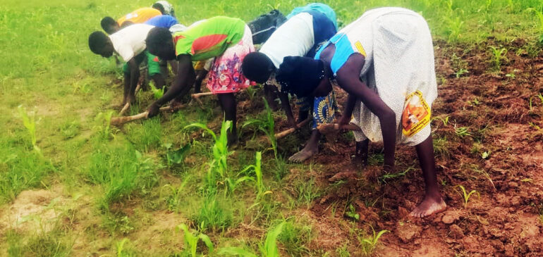 Realizzazione Cooperativa Agricola Femminile nel villaggio di Komki-Ipala